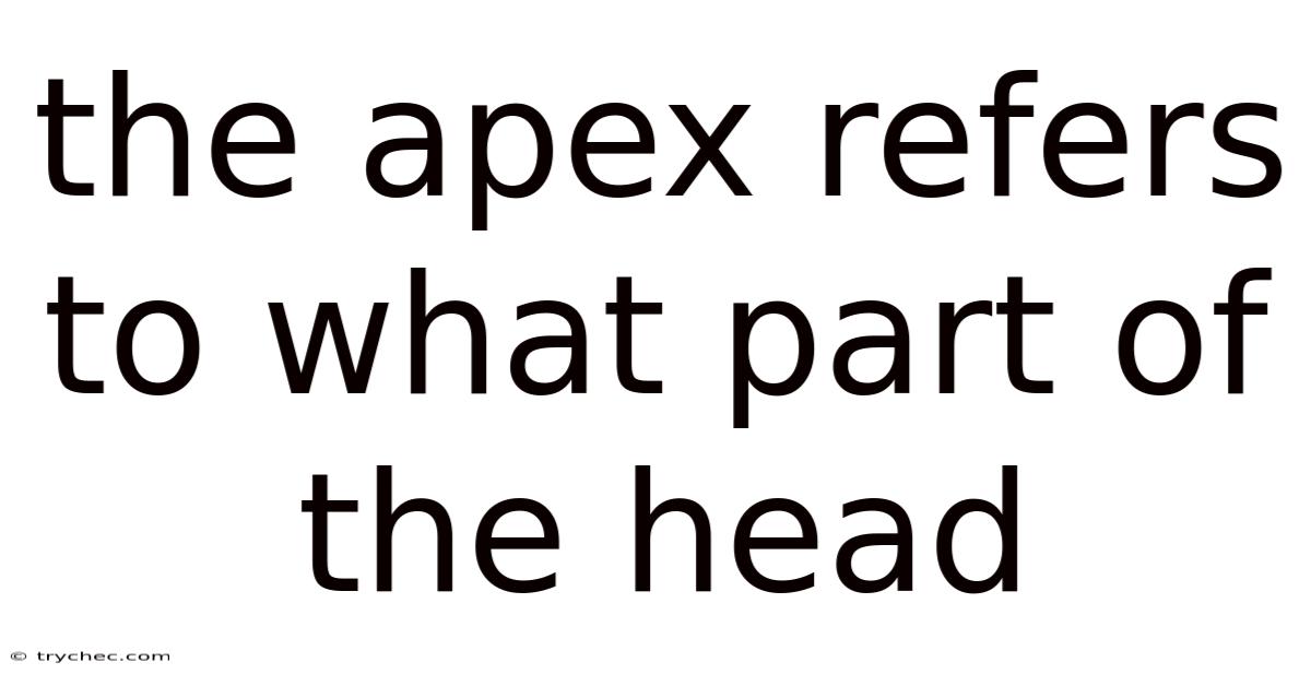 The Apex Refers To What Part Of The Head