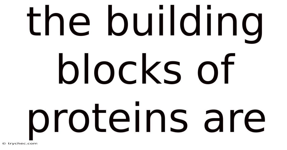 The Building Blocks Of Proteins Are