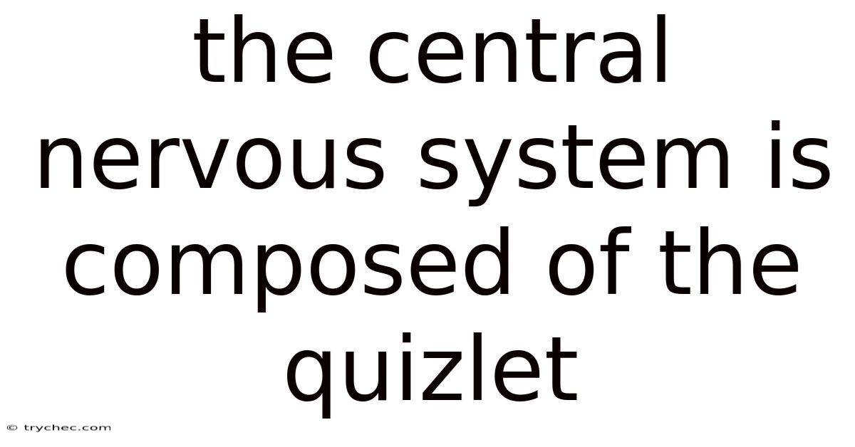 The Central Nervous System Is Composed Of The Quizlet