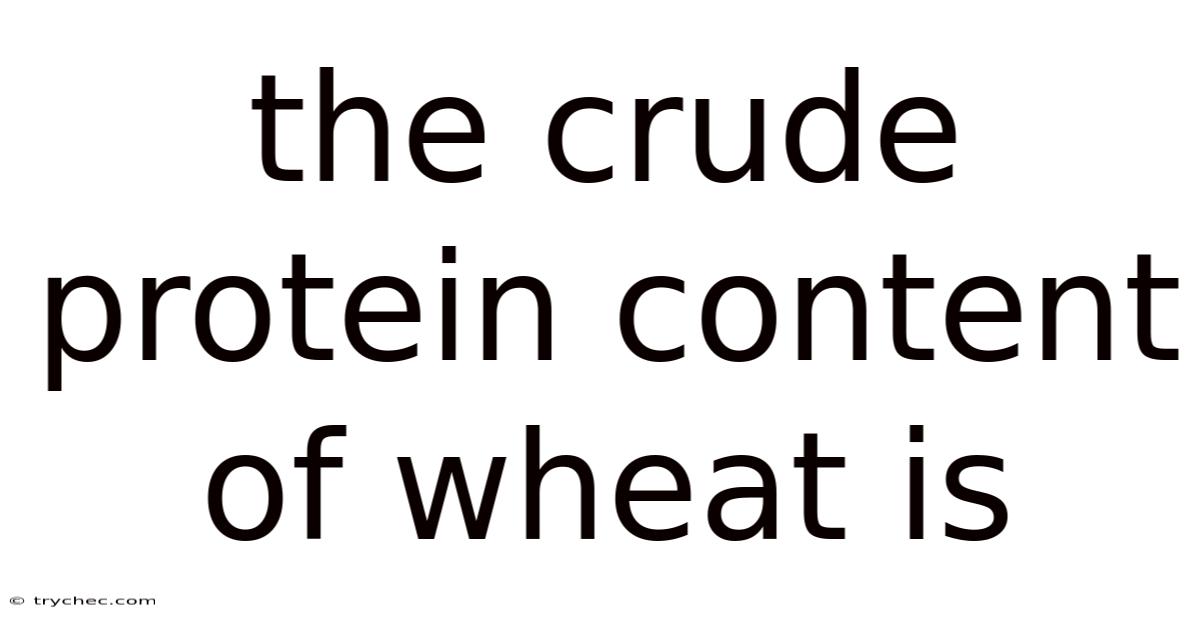 The Crude Protein Content Of Wheat Is