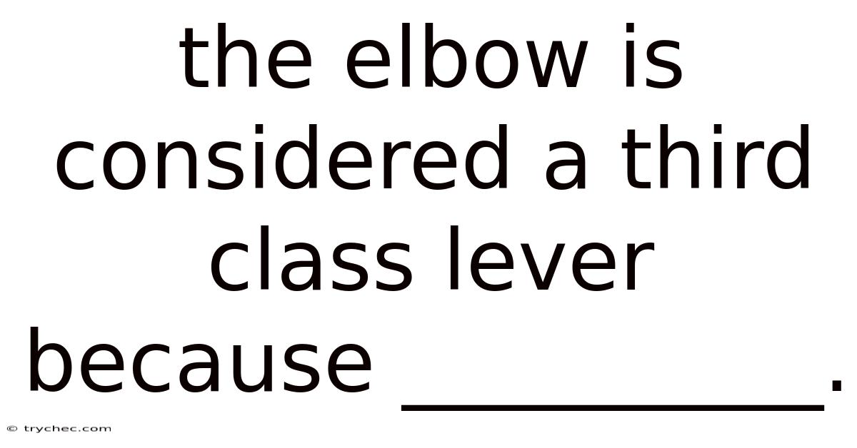 The Elbow Is Considered A Third Class Lever Because __________.