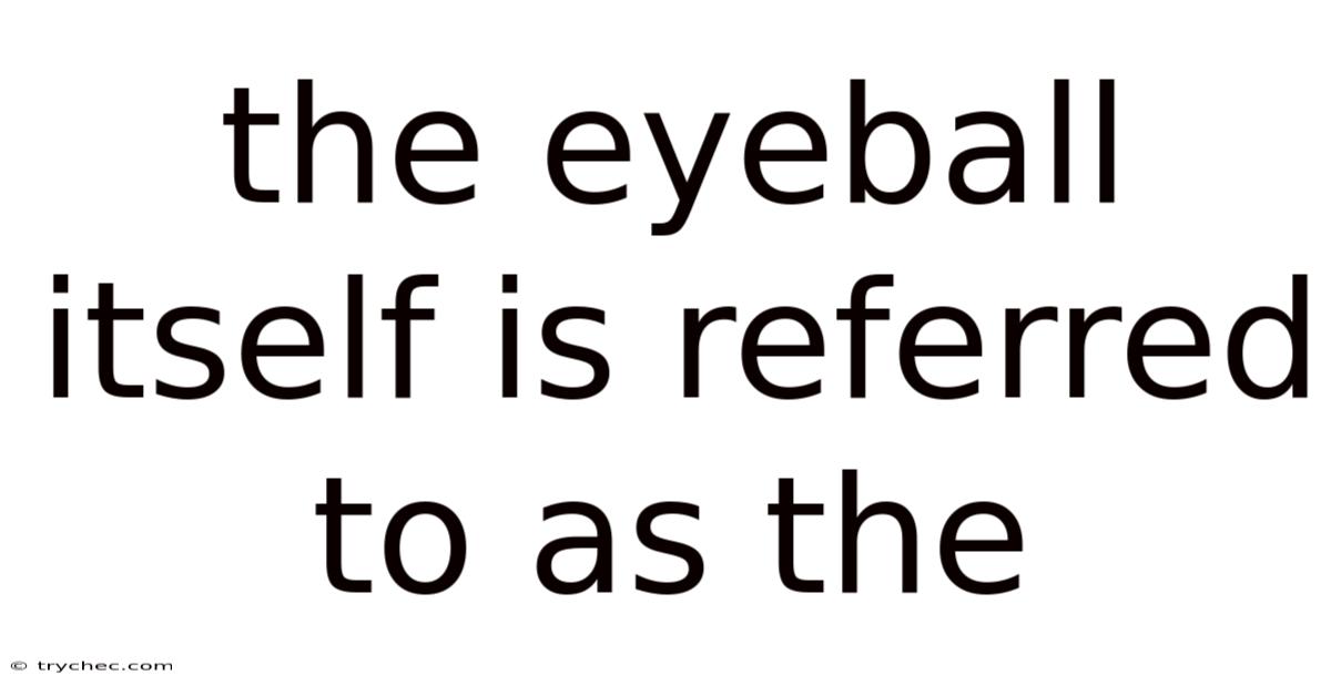 The Eyeball Itself Is Referred To As The