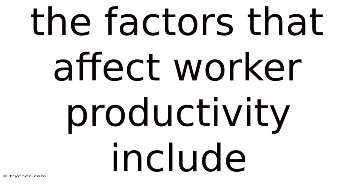 The Factors That Affect Worker Productivity Include