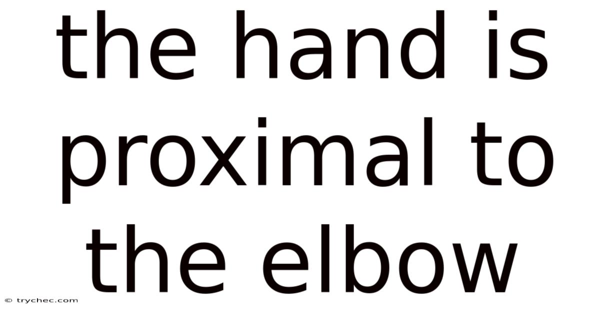 The Hand Is Proximal To The Elbow
