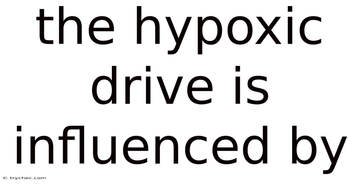 The Hypoxic Drive Is Influenced By