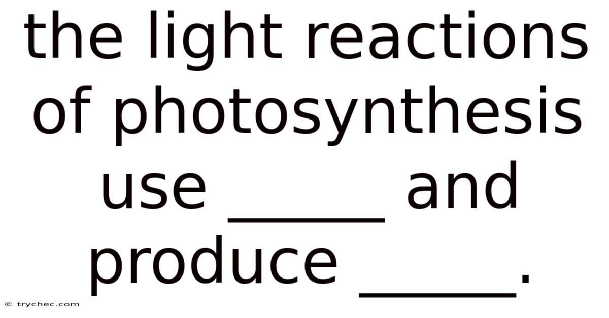 The Light Reactions Of Photosynthesis Use _____ And Produce _____.