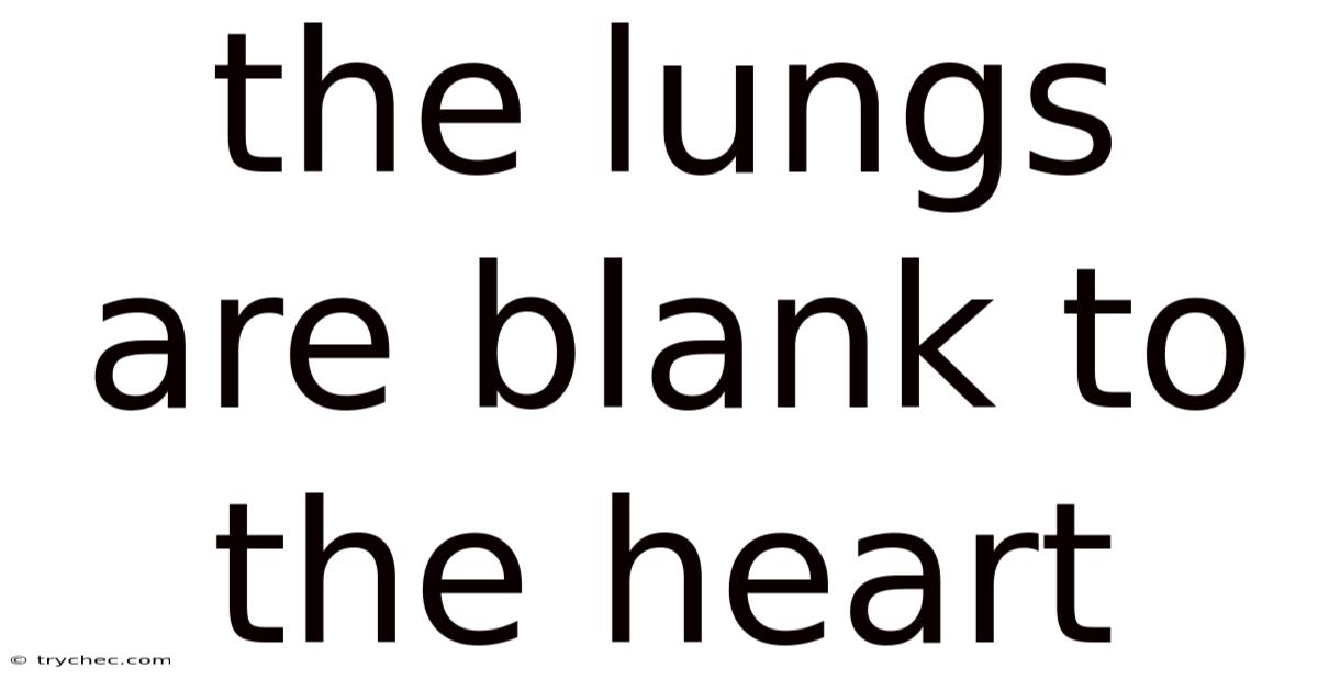 The Lungs Are Blank To The Heart