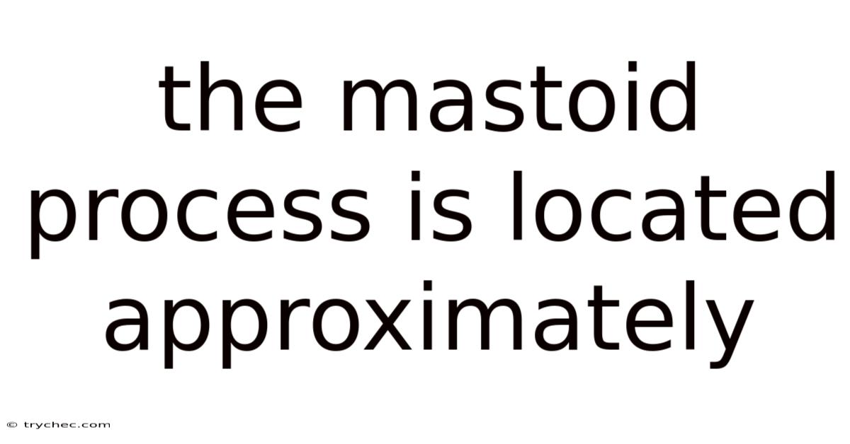 The Mastoid Process Is Located Approximately