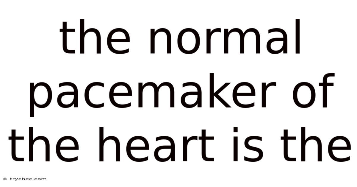 The Normal Pacemaker Of The Heart Is The