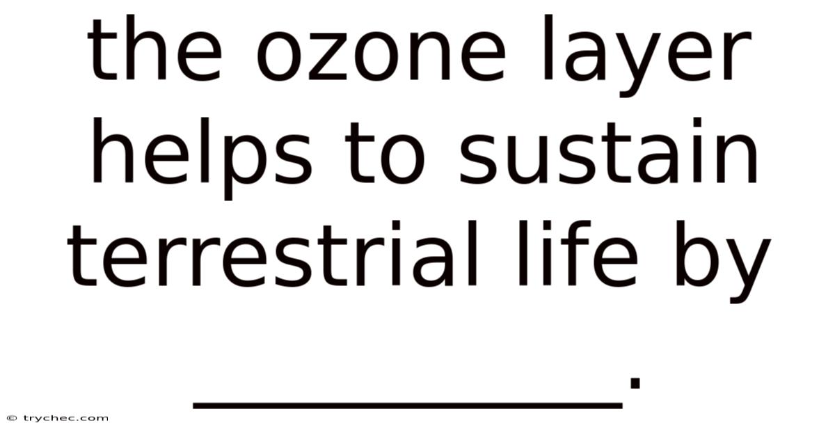 The Ozone Layer Helps To Sustain Terrestrial Life By __________.