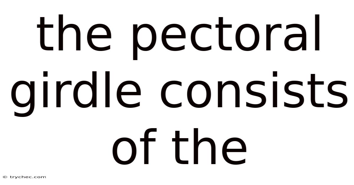 The Pectoral Girdle Consists Of The
