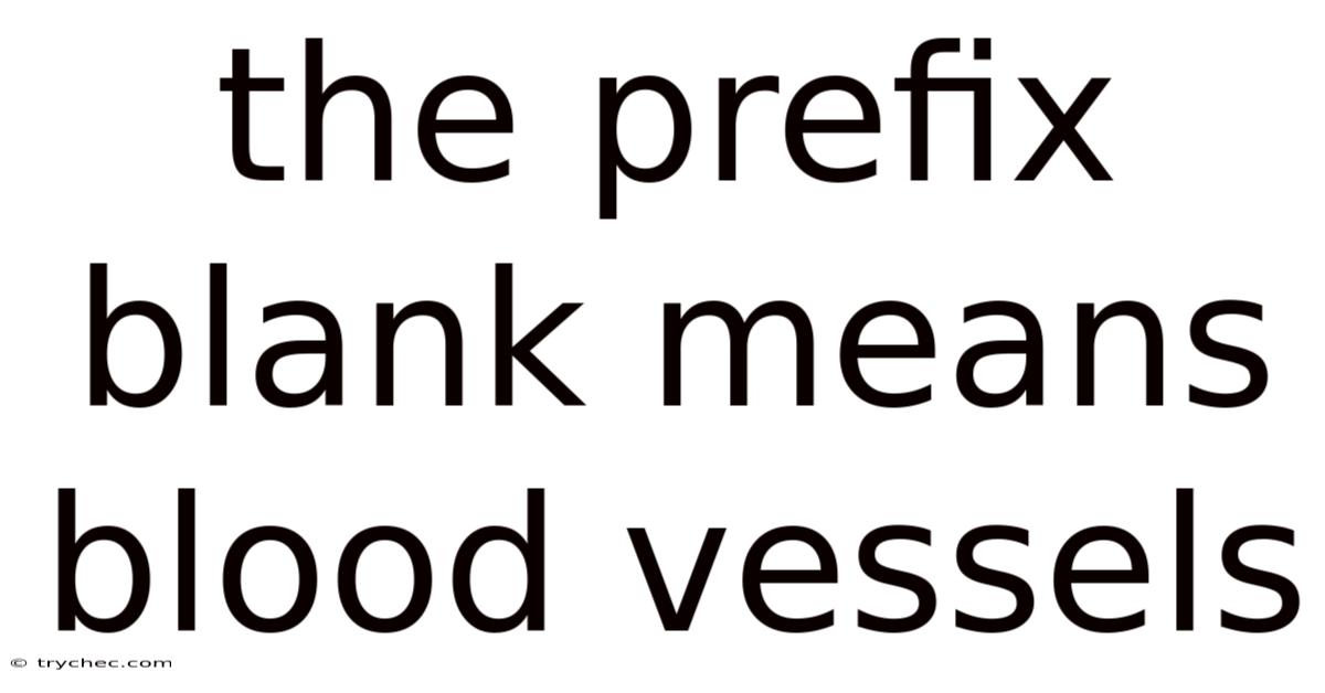 The Prefix Blank Means Blood Vessels