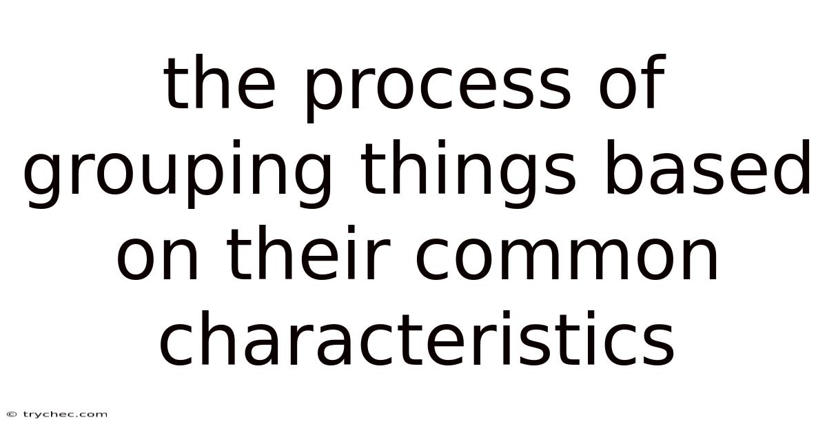 The Process Of Grouping Things Based On Their Common Characteristics