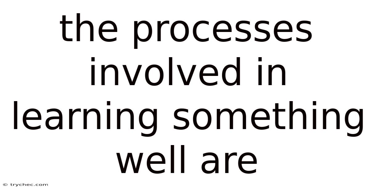 The Processes Involved In Learning Something Well Are