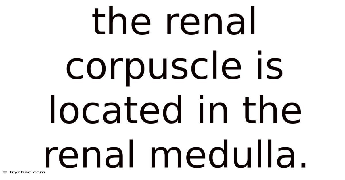 The Renal Corpuscle Is Located In The Renal Medulla.