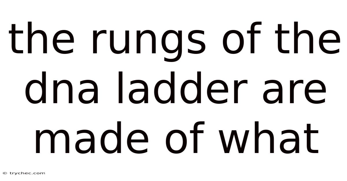 The Rungs Of The Dna Ladder Are Made Of What