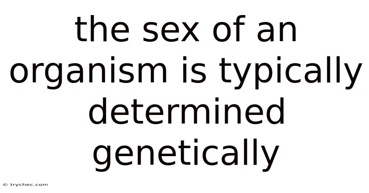 The Sex Of An Organism Is Typically Determined Genetically