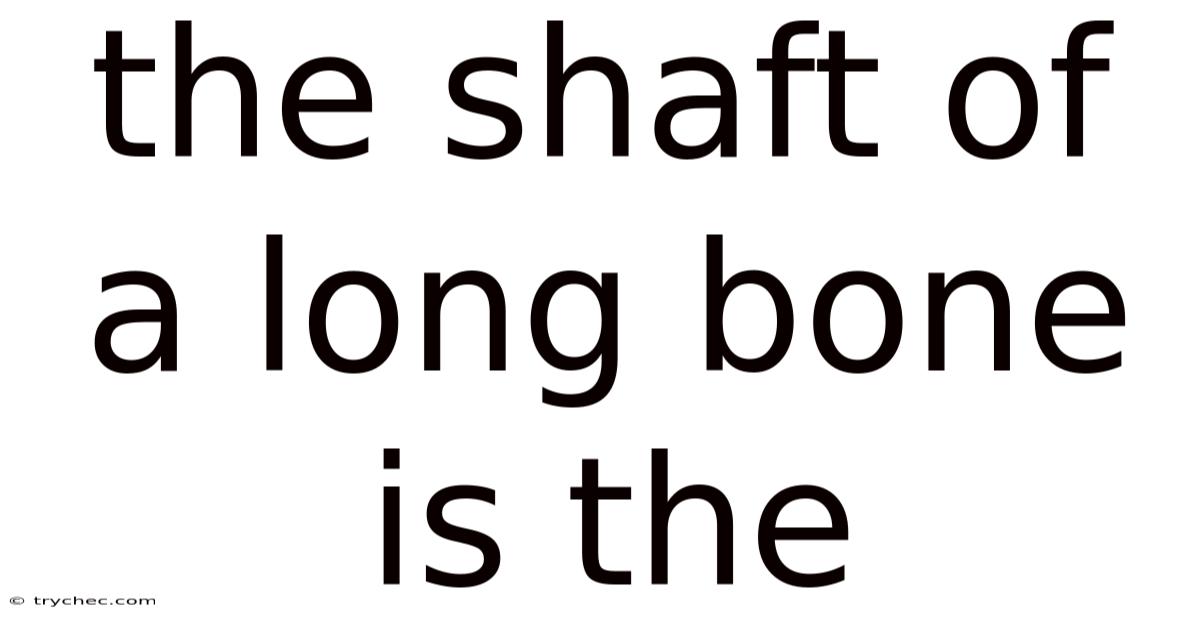 The Shaft Of A Long Bone Is The