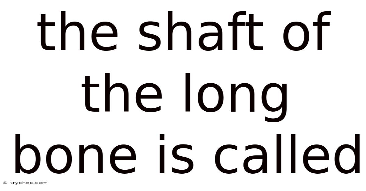 The Shaft Of The Long Bone Is Called