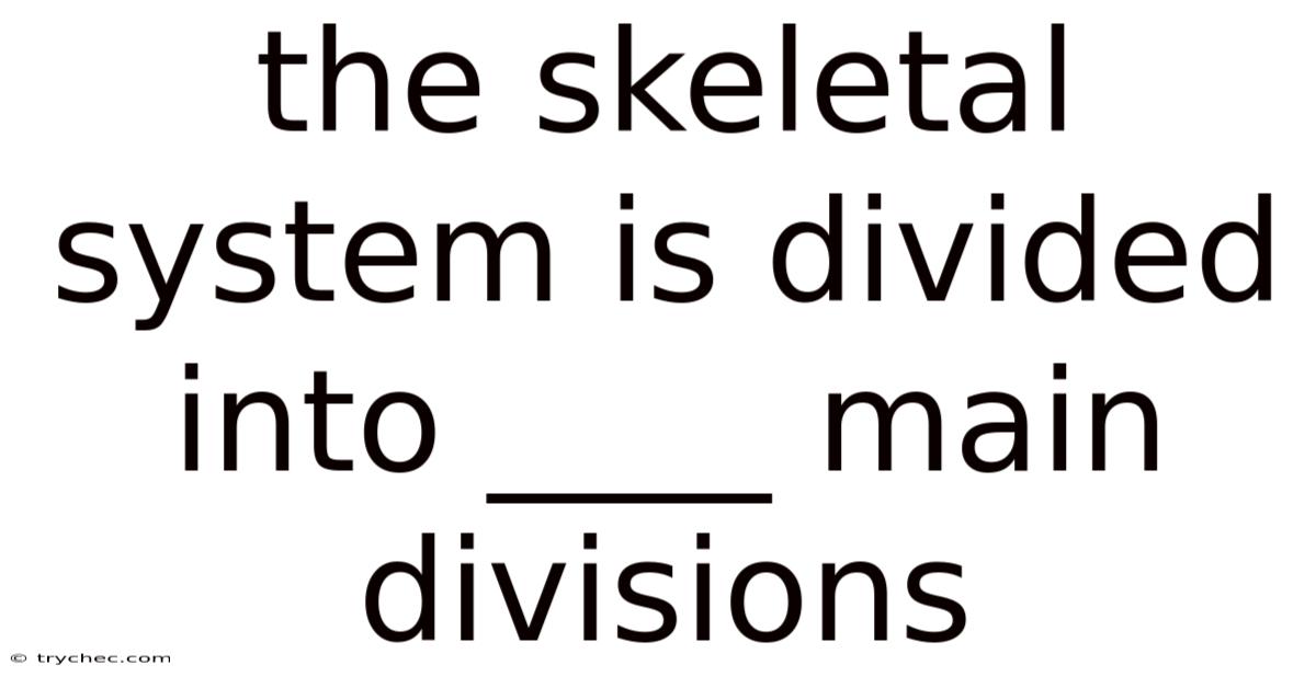 The Skeletal System Is Divided Into ____ Main Divisions