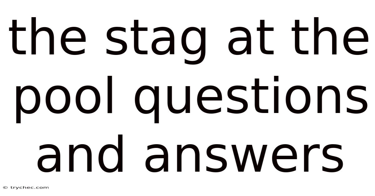The Stag At The Pool Questions And Answers