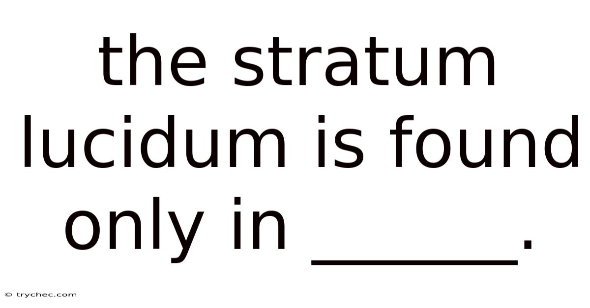 The Stratum Lucidum Is Found Only In ______.
