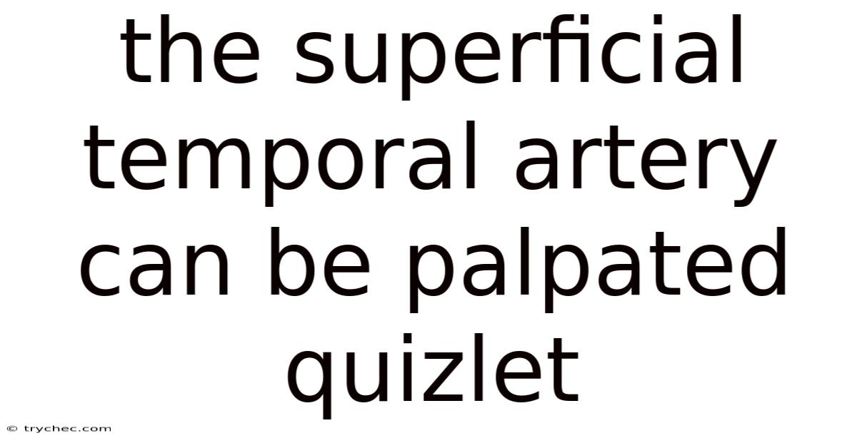 The Superficial Temporal Artery Can Be Palpated Quizlet