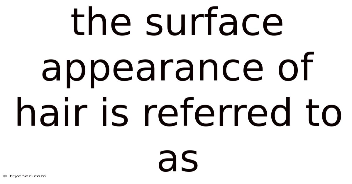 The Surface Appearance Of Hair Is Referred To As