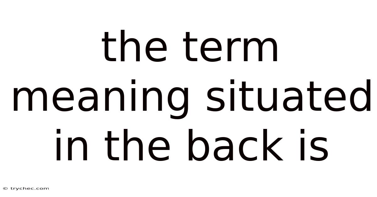 The Term Meaning Situated In The Back Is