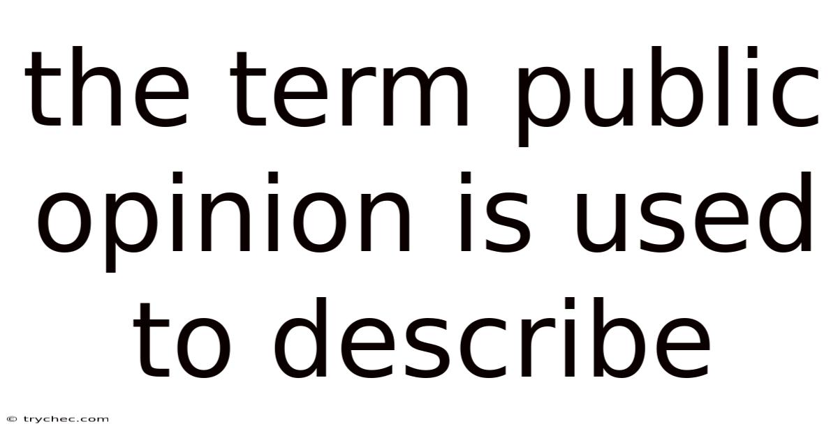 The Term Public Opinion Is Used To Describe