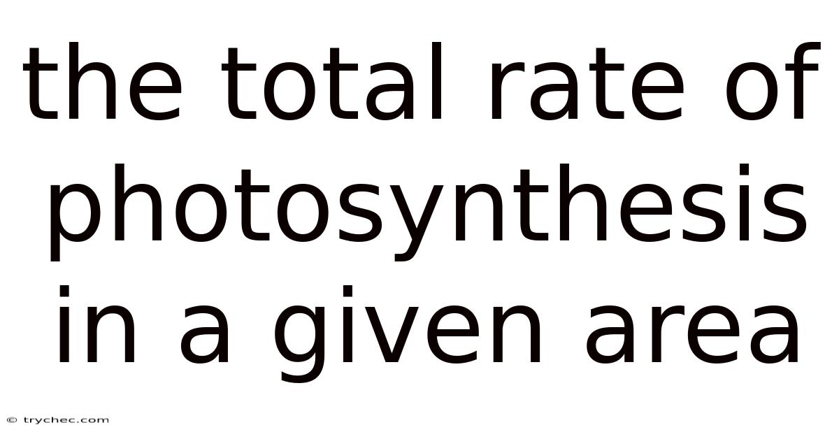 The Total Rate Of Photosynthesis In A Given Area