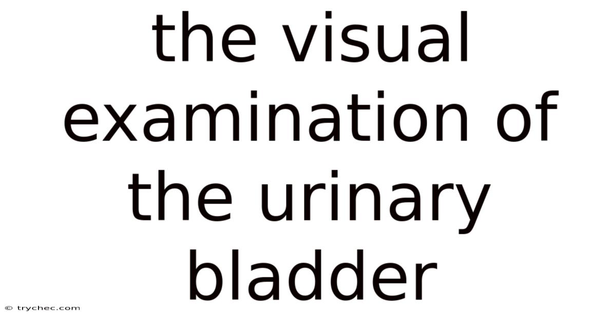 The Visual Examination Of The Urinary Bladder