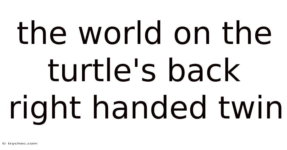 The World On The Turtle's Back Right Handed Twin