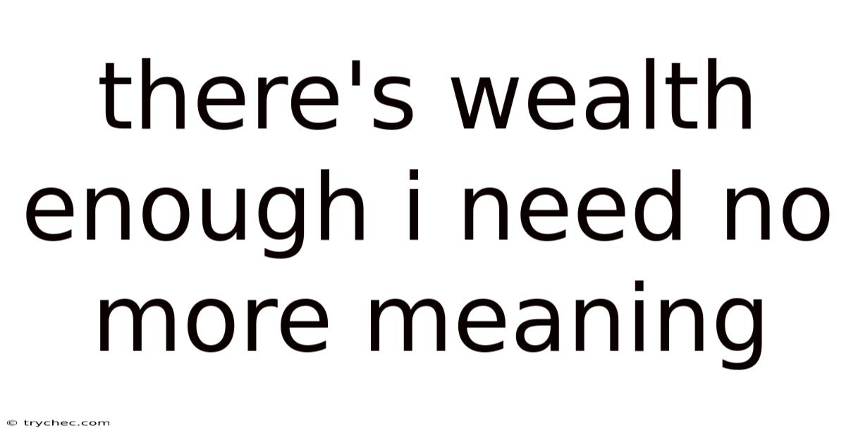 There's Wealth Enough I Need No More Meaning
