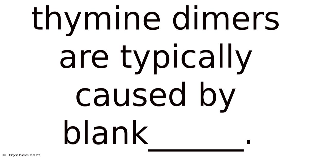 Thymine Dimers Are Typically Caused By Blank______.