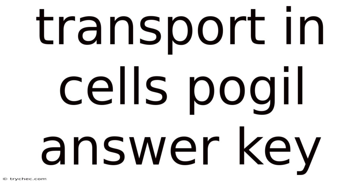 Transport In Cells Pogil Answer Key