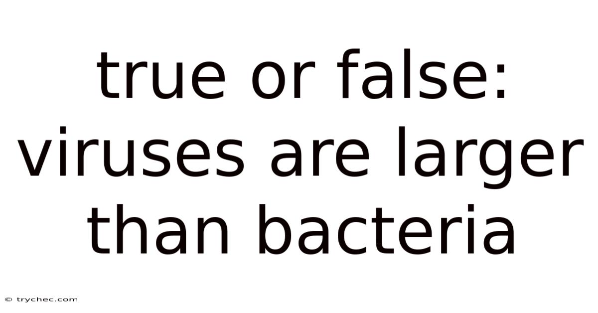 True Or False: Viruses Are Larger Than Bacteria