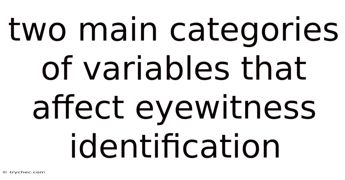 Two Main Categories Of Variables That Affect Eyewitness Identification