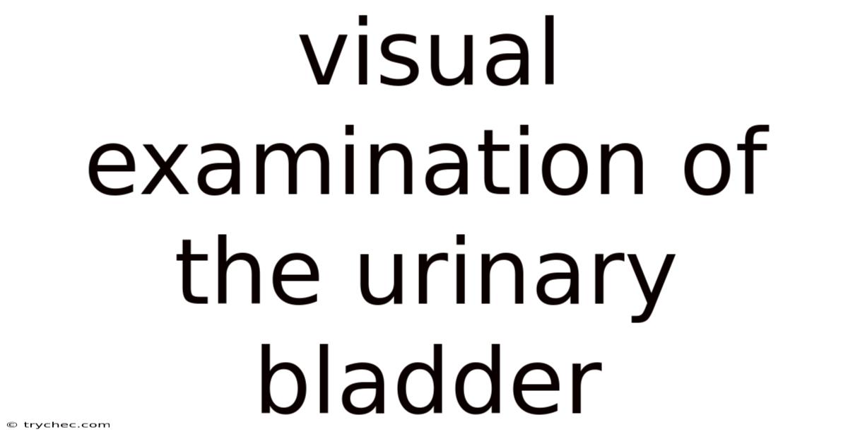 Visual Examination Of The Urinary Bladder