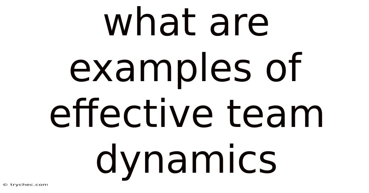 What Are Examples Of Effective Team Dynamics