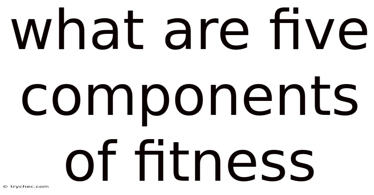 What Are Five Components Of Fitness
