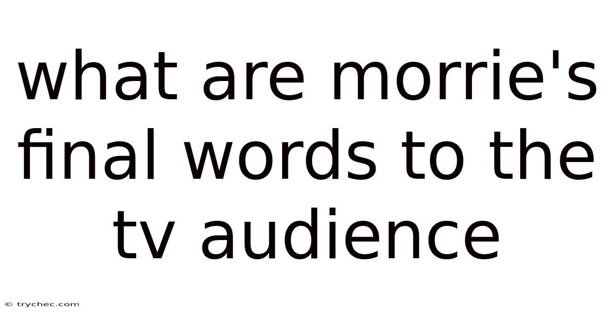What Are Morrie's Final Words To The Tv Audience
