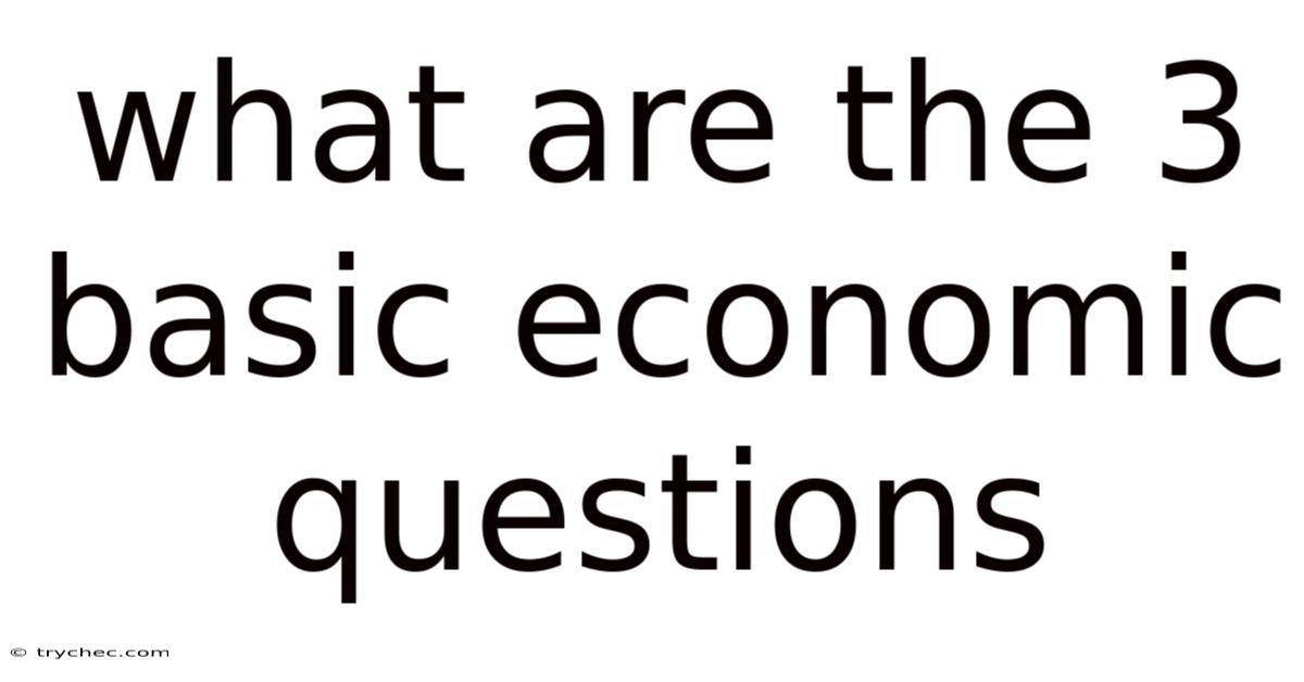 What Are The 3 Basic Economic Questions