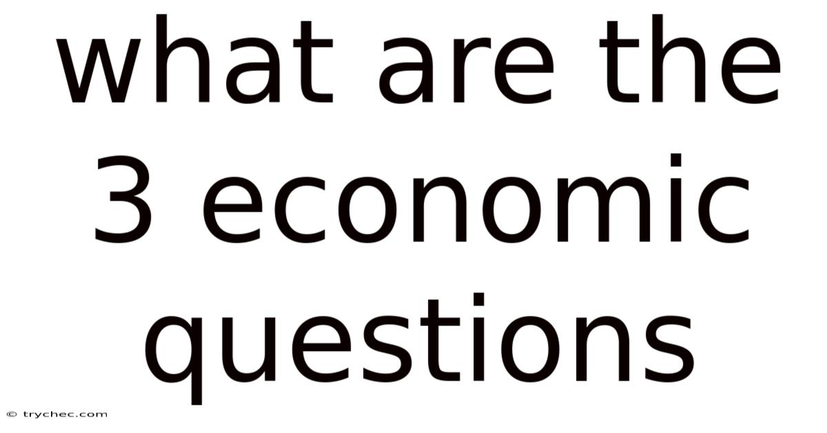 What Are The 3 Economic Questions