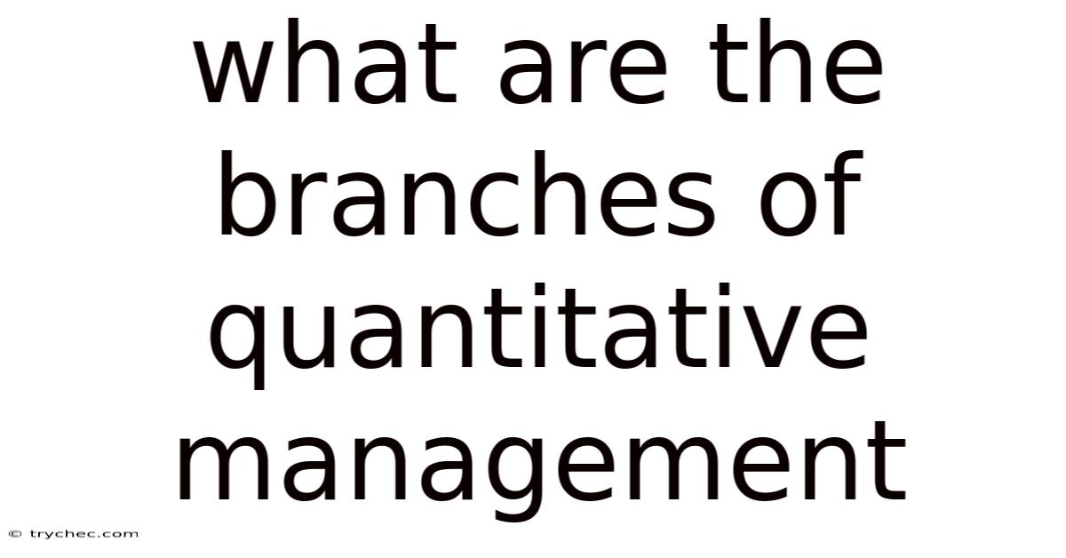 What Are The Branches Of Quantitative Management