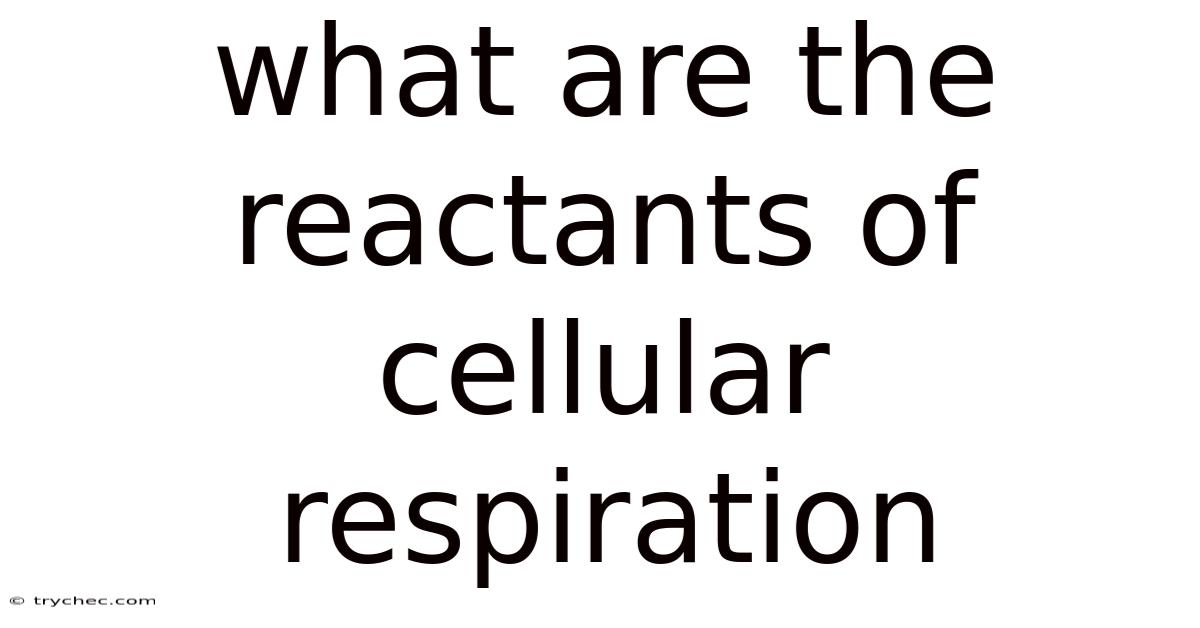 What Are The Reactants Of Cellular Respiration