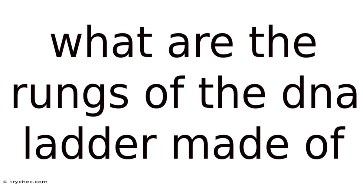 What Are The Rungs Of The Dna Ladder Made Of