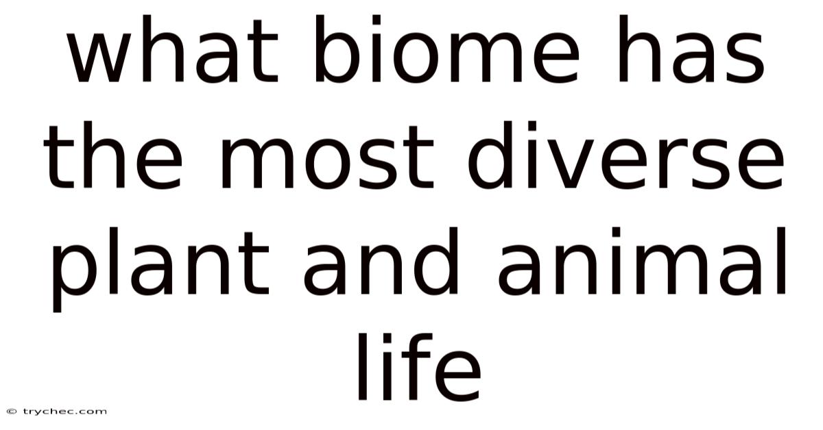What Biome Has The Most Diverse Plant And Animal Life