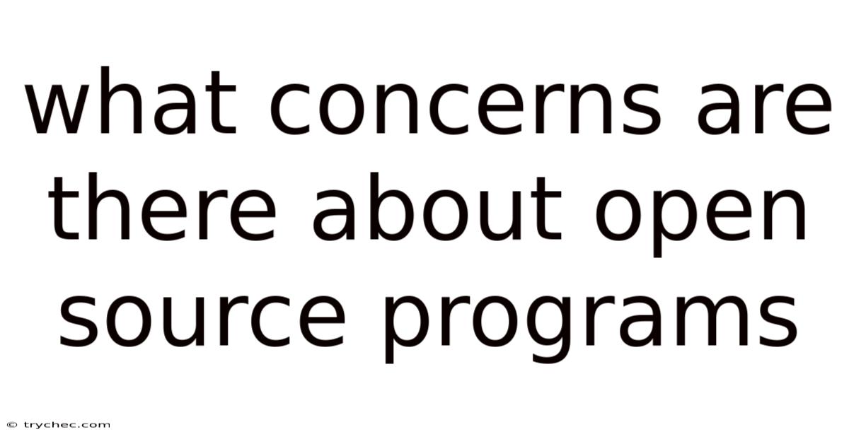 What Concerns Are There About Open Source Programs