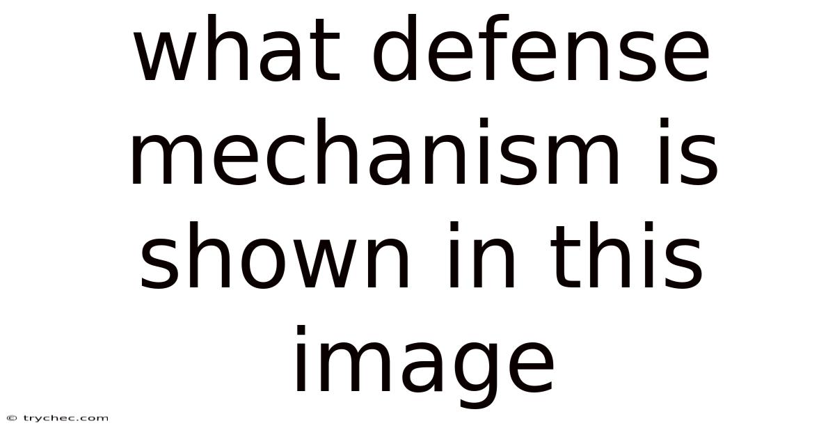 What Defense Mechanism Is Shown In This Image